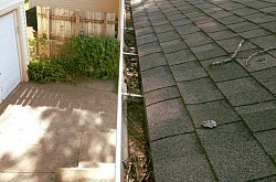 limpieza canalones vigo